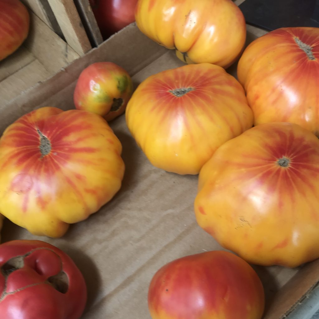 Heirloom tomatoes